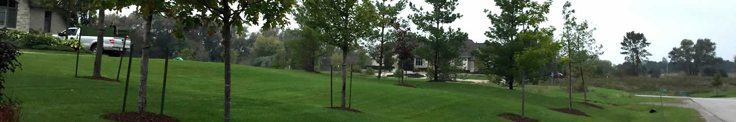 whitby landscaping tree care planting