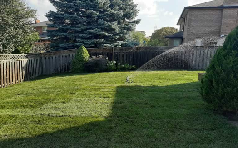 backyard sod turf installation