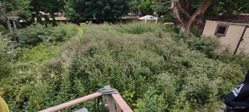 2023-Excavation-11-Whitby-Landscaping