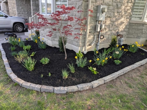 2025-Whitby-Landscaping-Garden-Wall-12-Perennial-Install