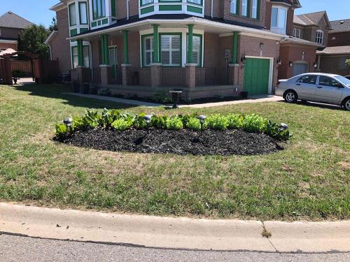 102 - Simple garden Whitby