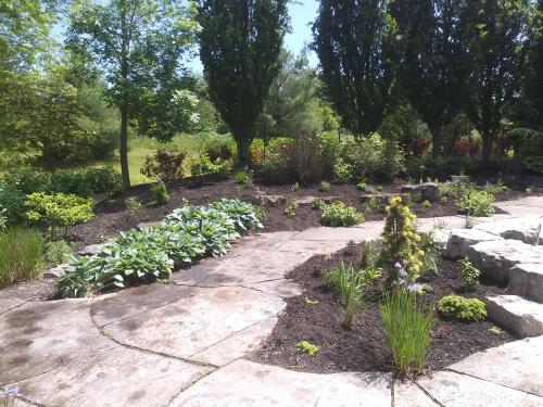 111 - Large pool planting Project