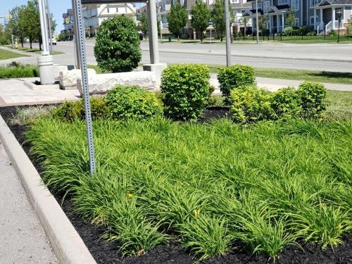 113 - Brooklin high school