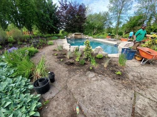13 - Large pool garden planting project