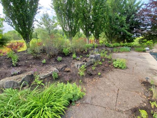 14 - Large pool garden planting project