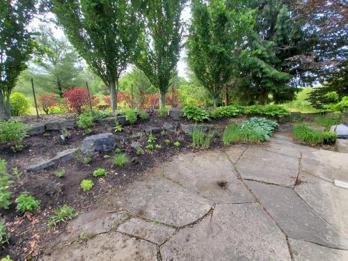 15 - Large pool garden planting project