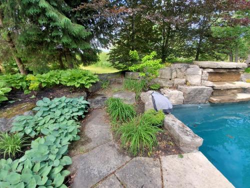 16 - Large pool garden planting project