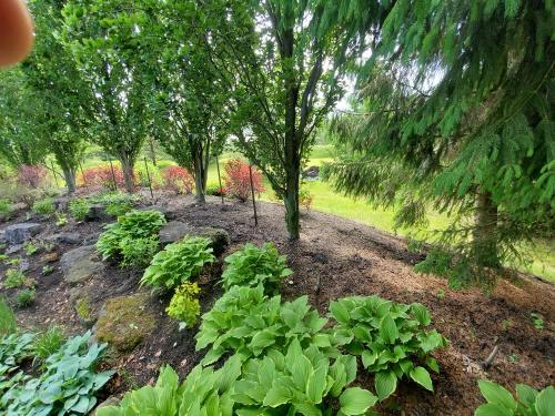 17 - Large pool garden planting project