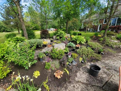 18 - Large pool garden planting project
