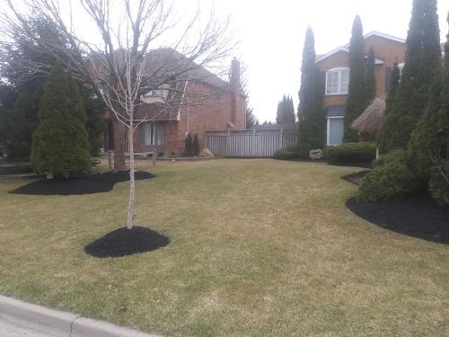 1 - Front yard with black mulch