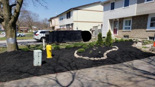 2021-Front-lawn-removal-and-installation-of-low-maintenance-garden-with-black-mulch
