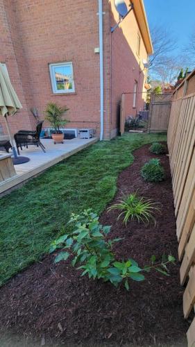 2021-Garden-created-beside-new-fence-with-scalloped-edges-and-brown-mulch
