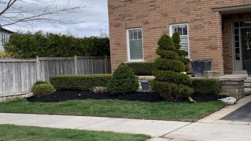 2021-Hedgerow-and-spiral-shrub-edging