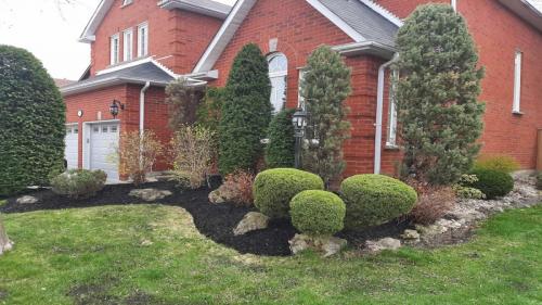 2021-Mature-front-garden-maintenance