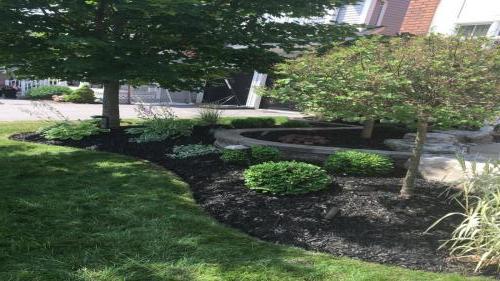 2021-Mature-garden-cleanup-with-black-mulch