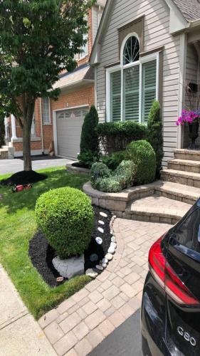 2021-Mature-shrub-trimming-and-elevated-garden-maintenance-along-landscaped-front-walkway