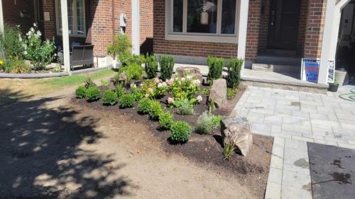 2021-New-garden-creation-and-design-in-front-yard