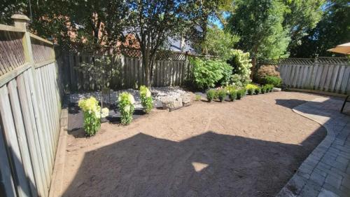 2021-c1-Sod-installation-before