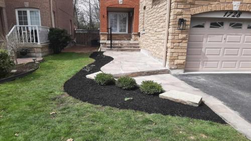 2021-d2-New-garden-bed-creation-after