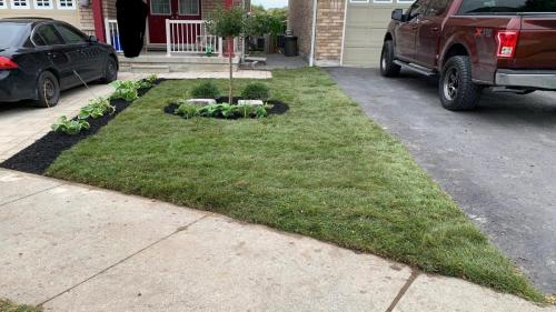 2021-e2-After-garden-bed-installation-with-sod-beside-driveway