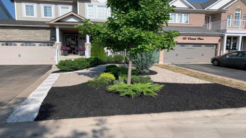 2021-h1-Multi-tonal-look-created-with-black-mulch-peastone-and-white-gravel-in-place-of-front-lawn