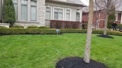 2023-Gardens-10-Whitby-Landscaping