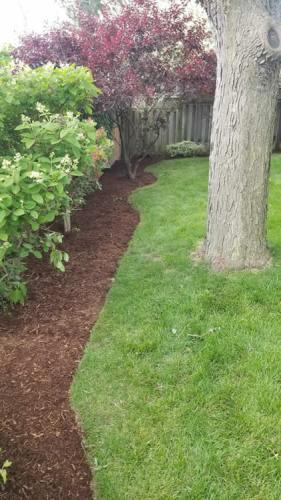 2023-Gardens-27-Whitby-Landscaping