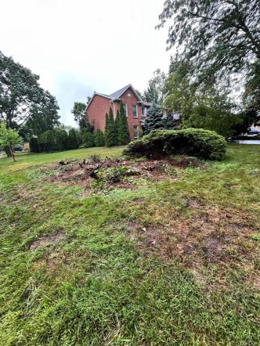 2023-Gardens-62-Before-Whitby-Landscaping