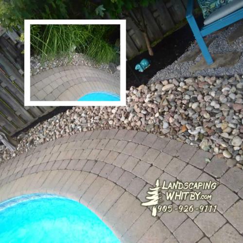 2024-Whitby-Landscaping-Gardening-17-No-Grass