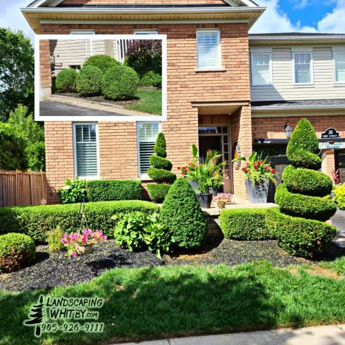 2024-Whitby-Landscaping-Gardening-22-Spring-Cleanup