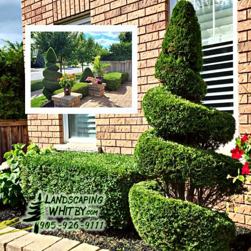 2024-Whitby-Landscaping-Gardening-23-Spring-Cleanup