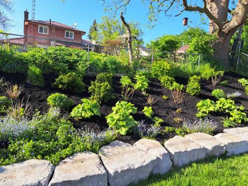 2024-Whitby-Landscaping-Gardening-30-Spring-Cleanup