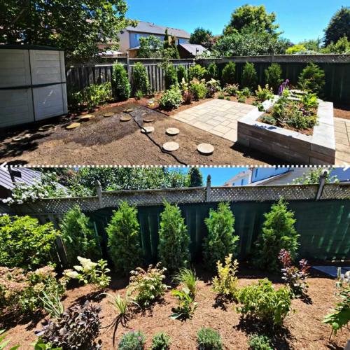 2024-Whitby-Landscaping-Gardening-4-Backyard-No-Grass