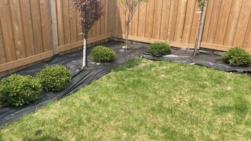 2024-Whitby-Landscaping-Gardening-46-New-Small-Backyard-Garden