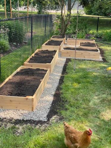 2024-Whitby-Landscaping-Gardening-52-Raised-Vegetable-Garden