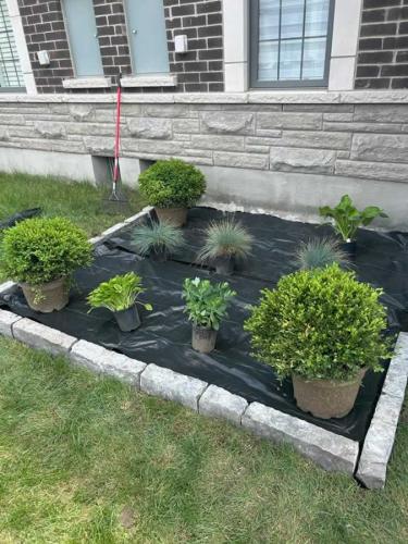 2024-Whitby-Landscaping-Gardening-54-New-Garden-with-ledger-Rock