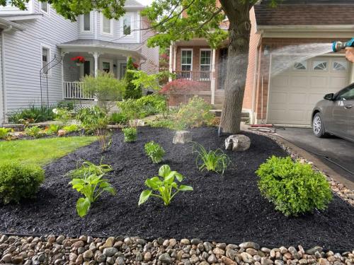 2024-Whitby-Landscaping-Gardening-56-Front-Lawn-Garden
