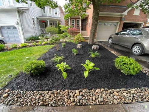 2024-Whitby-Landscaping-Gardening-58-Front-Lawn-Garden