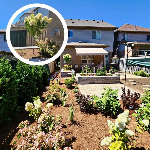 2024-Whitby-Landscaping-Gardening-6