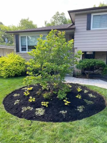 2024-Whitby-Landscaping-Gardening-60
