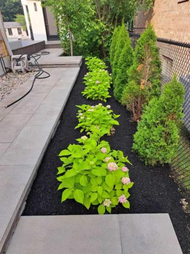 2024-Whitby-Landscaping-Gardening-62