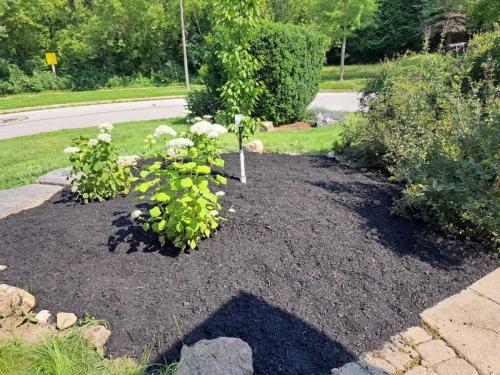 2024-Whitby-Landscaping-Gardening-65