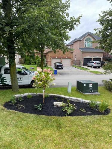 2024-Whitby-Landscaping-Gardening-73