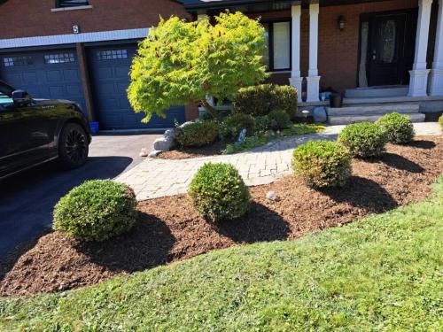 2024-Whitby-Landscaping-Gardening-75