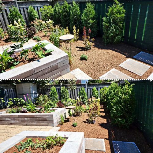 2024-Whitby-Landscaping-Gardening-8