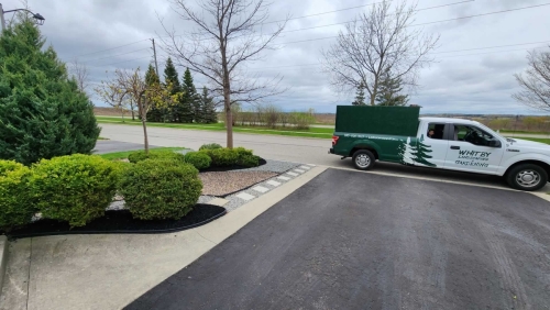 2025-Whitby-Landscaping-Gardening-13-Front-Lawn-Rock-Garden-Ideas