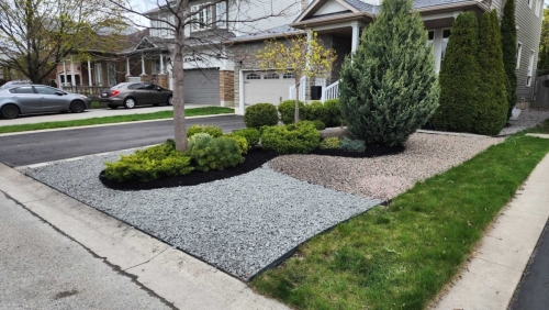 2025-Whitby-Landscaping-Gardening-14-Front-Lawn-Rock-Garden-Gravel