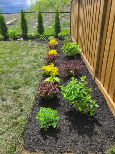 2025-Whitby-Landscaping-Gardening-19-New-Perennial-Garden-Planting