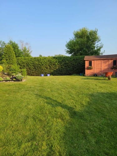 2025-Whitby-Landscaping-Gardening-2-Hedge-Pruning-Privacy