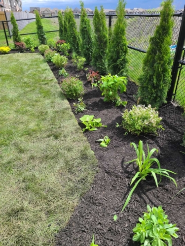 2025-Whitby-Landscaping-Gardening-20-Planting-perennials-Whitby